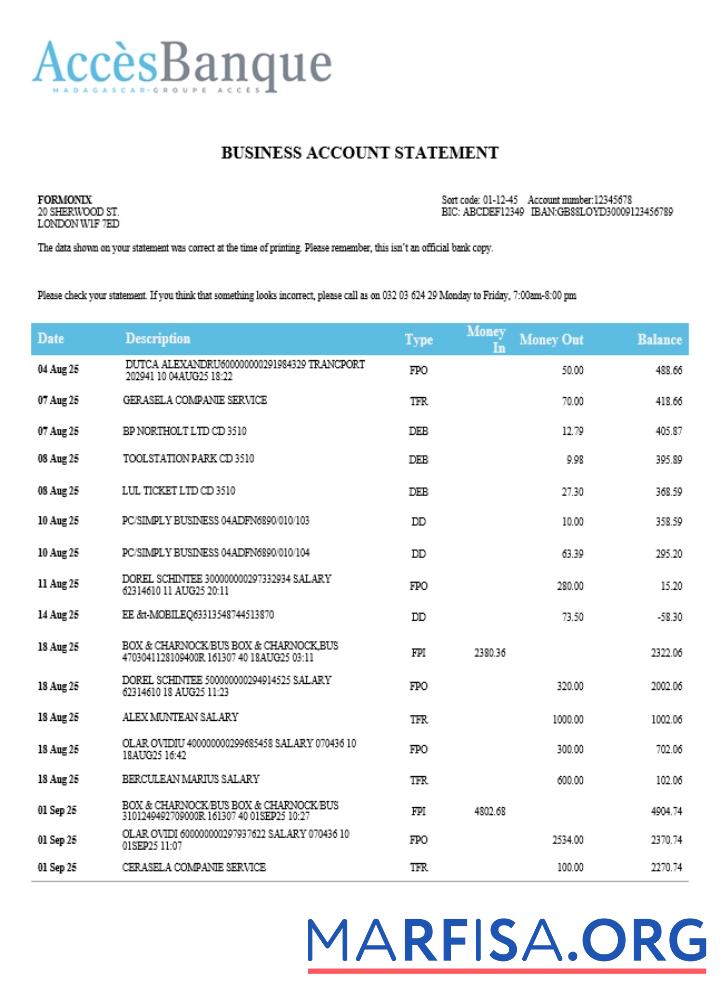 Printable Access firm account statement Word and PDF template (1)
